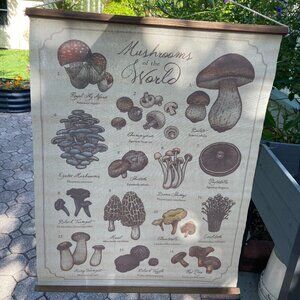 🍄 Mushroom Linen Wall Hanging (Earthbound Trading Company)